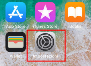 Icona delle impostazioni Iphone