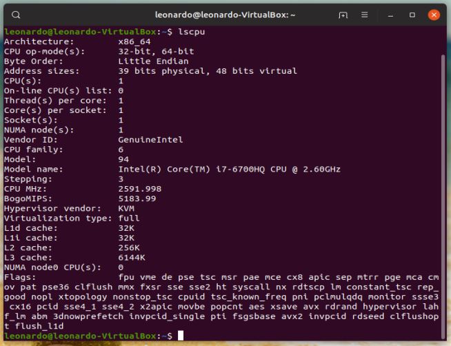 Vedere cpu terminale di Ubuntu